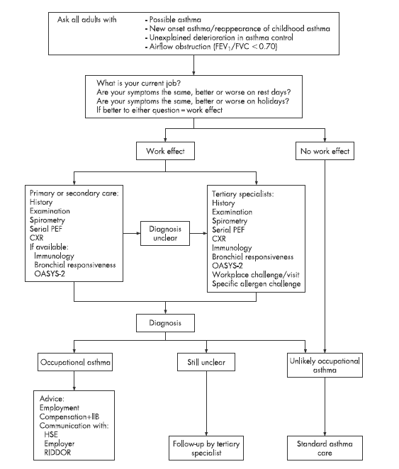 this is a diagnostic flow chart for occupational asthma